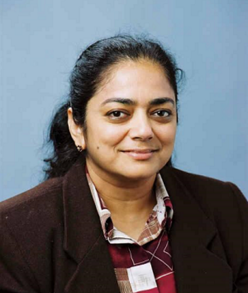 Dr. Bina Ramamurthy